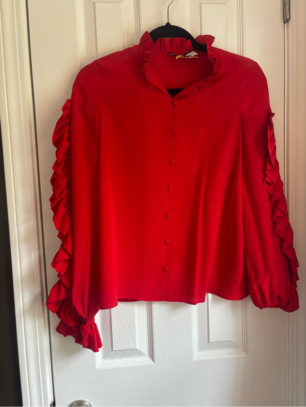 Alexis Coral Ruffled Button-Front Blouse - Picture 4 of 7
